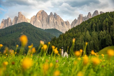Church of St. John in Ranui with flower meadow