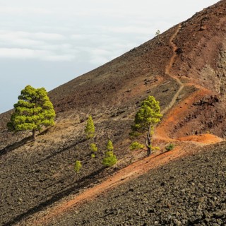 Hiking trail at the volcano Martin