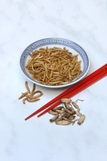 Dried mealworms in bowl and grills with chopsticks