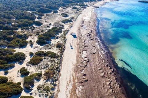 Beach Es Trenc