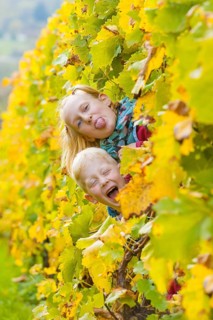 Boy and girl looking through a row of vines