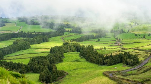 Strips of woodland cross green landscape