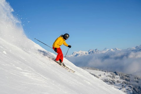 Skier