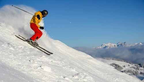 Skier