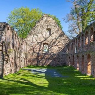 Ruin of the monastery Nimbschen