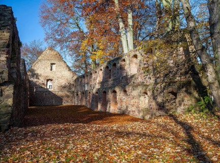 Nimbschen Monastery Ruins