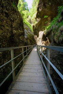 Gorge of the Almbach Gorge