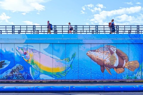 Harbour wall with larger-than-life paintings of sea animals