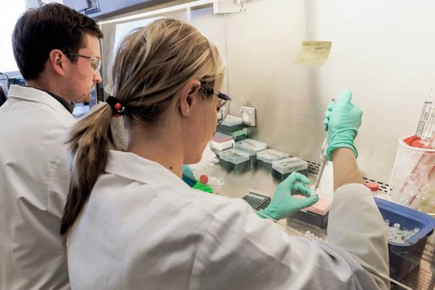 Laboratory technicians researching vaccine against coronavirus