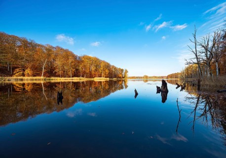 Schweingartensee in autumn
