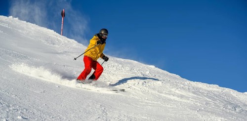 Skier