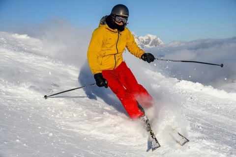 Skier