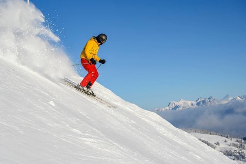 Skier