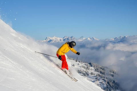 Skier
