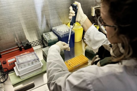 Laboratory assistant researching a vaccine against coronavirus