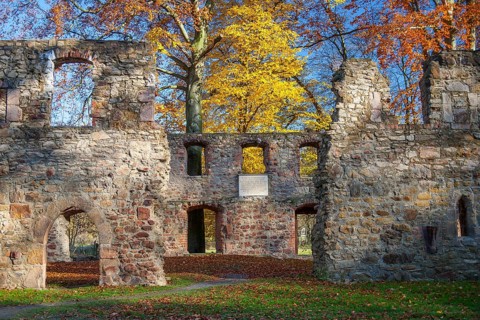 Nimbschen Monastery Ruins