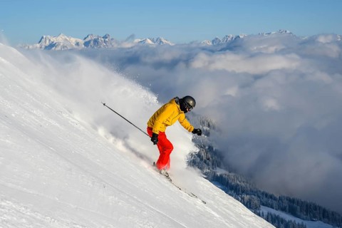 Skier
