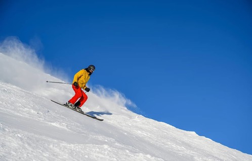 Skier