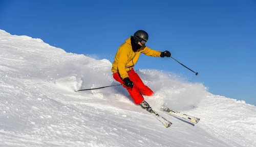 Skier