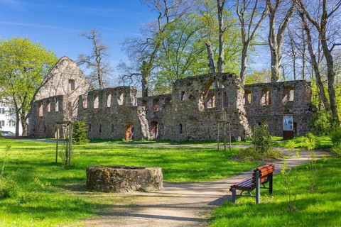 Ruin of the monastery Nimbschen