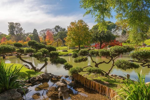 Jardin Japones