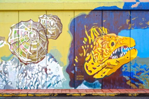 Harbour wall with larger-than-life paintings of sea animals