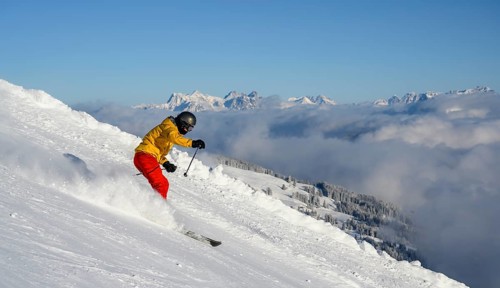 Skier
