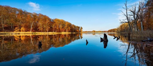 Schweingartensee in autumn