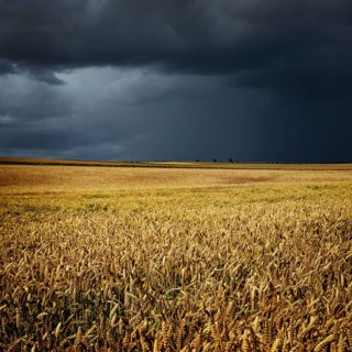 Approaching thunderstorm