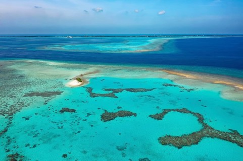 Reef top with lagoon and corals