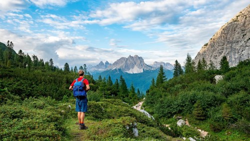 Hikers on a hiking trail