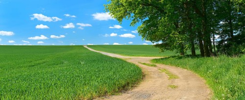 Country lane at the edge of a forest through cultural landscape in spring