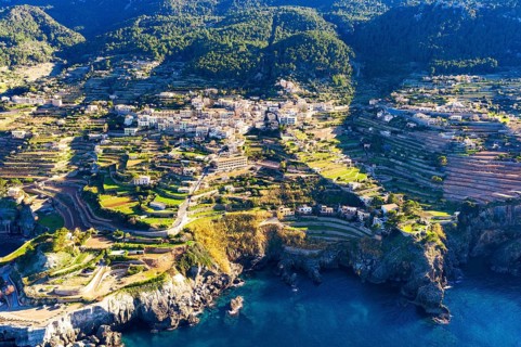Terraced fields in Banyalbufar