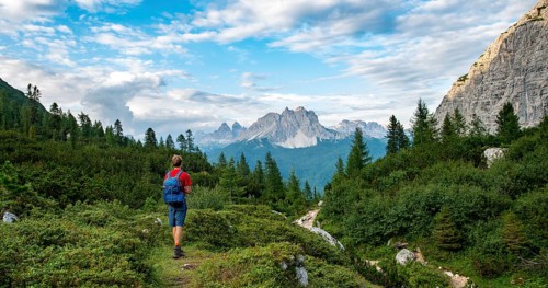 Hikers on a hiking trail