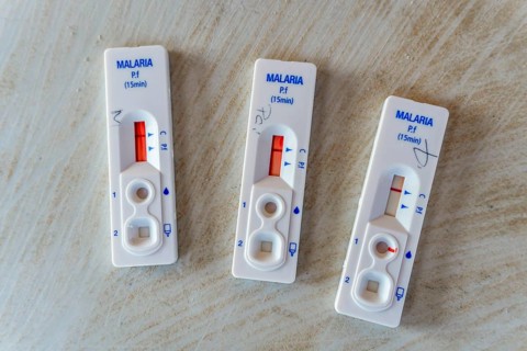Results of quick malaria test from blood