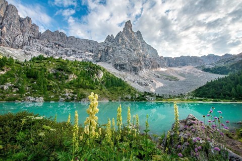 Turquoise-green Sorapis lake with flowers