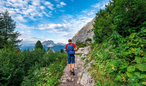 Hikers on a hiking trail
