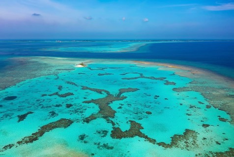 Reef top with lagoon and corals