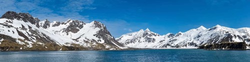 Right Whale Bay