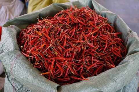 Red chili