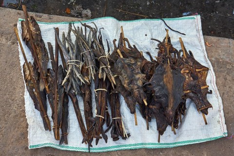 Dried fish