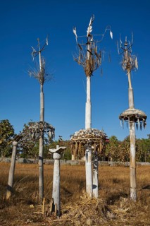 Animist totem poles