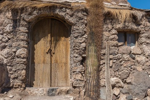Door made of cactus wood
