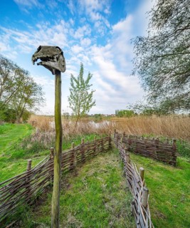 Sacrificial moor Niederdorla