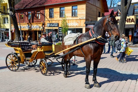Horse-drawn carriage in the pedestrian zone and promenade Krupowki