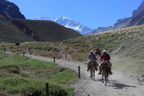 Three riders on mules