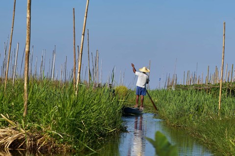 Man standing in a boat and rowing