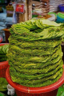 Leaves of Betel (Piper betle) Thiri Mingalar Market