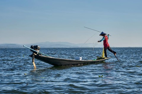 Monopod with fishing net