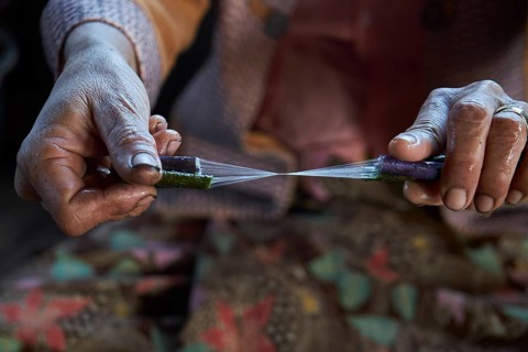 Intha woman wins fibers from a lotus stalk